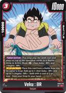 Veku : BR (FB09-016) [Dual Evolution]